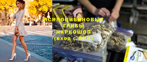 винт Аркадак