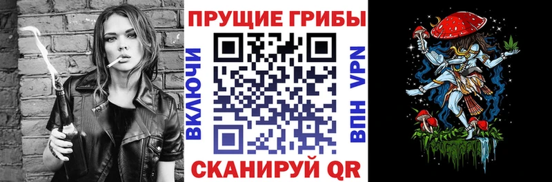 Галлюциногенные грибы ЛСД  blacksprut сайт  Ленск 